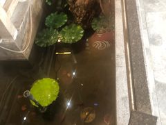 -光海·乡记酸菜鱼·始于1996(花园路店)
