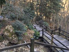 -天明山温泉大酒店
