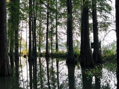 -东湖落雁景区