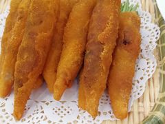 -丁老爷子苏香圆