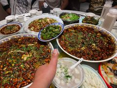 -新概念来凤鱼(璧山店)