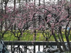 景点-静安雕塑公园