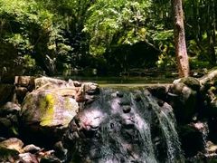 -牛背梁国家森林公园