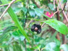 -西湖风景区-江洋畈生态公园