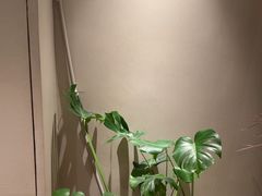 -泰合玺·精油疗愈 SPA(南京河西万达店)