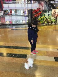 -玩具反斗城(正大广场店)