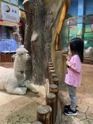 -宝燕乐园(闵行旗舰店)