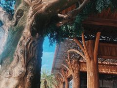 -杭州开元森泊度假乐园