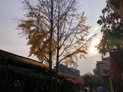 -乾州古城
