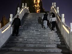 -桃花岛公园