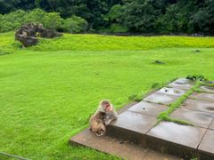 -海南热带野生动植物园