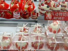 -极致味道动物奶油生日蛋糕(时尚店)