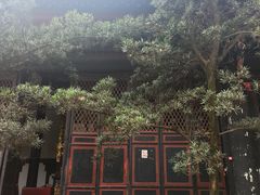 -青羊宫