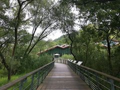 -西湖风景区-江洋畈生态公园