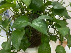 -安肯心理咨询(长宁旗舰店)