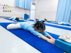 -梧桐花语舞蹈培训中心(潞城校区)