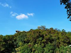 -金鸡山公园
