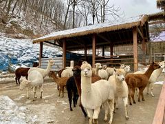 -栾川竹海野生动物园