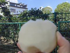 -树山生态村