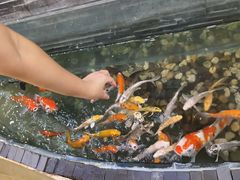 -和乐喜点(宝岗大道店)