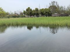 -南北湖风景区