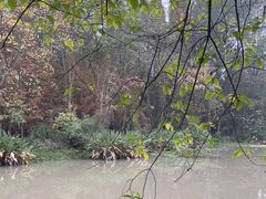 -桤木河湿地公园