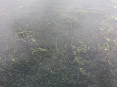 -尚贤河湿地