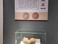 -合肥三国新城遗址公园