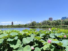 -西海子公园