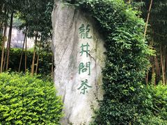 -龙井村