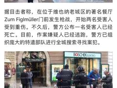 -斯蒂芬主教座堂(Stephansdom)