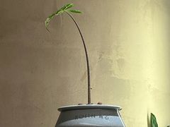 -ROIIN用心(武汉首店)