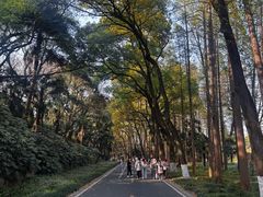 -采石矶景区
