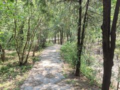 -北京鹫峰国家森林公园