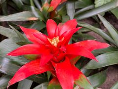 -北京植物园-展览温室