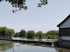 -鲁镇