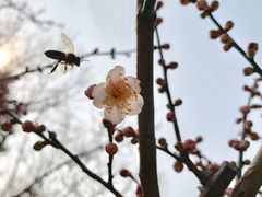 -圩墩遗址公园