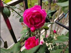 -煲宫(华润万象城店)