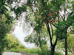-上海吴淞炮台湾国家湿地公园