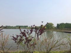 -东郊湿地公园