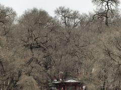 -北山公园