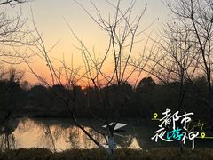 -西溪国家湿地公园