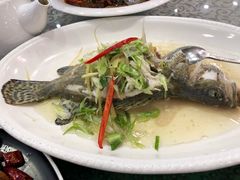 -六婶西关小厨(光塔路店)