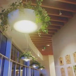 点击看大图 -悦诗风吟innisfree