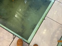 -品鲜村农家菜·阳澄湖大闸蟹(总店)