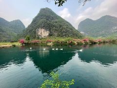 -靖西鹅泉风景区