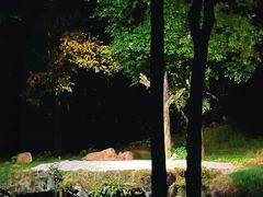 -夜间野生动物园