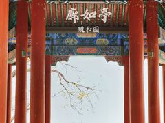 -颐和园