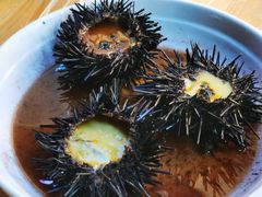 海胆蒸蛋-众味海鲜大排档·活海鲜·潮汕味(南澳店)