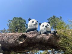 -安吉竹博园